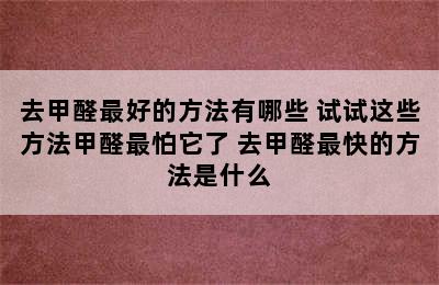 去甲醛最好的方法有哪些 试试这些方法甲醛最怕它了 去甲醛最快的方法是什么